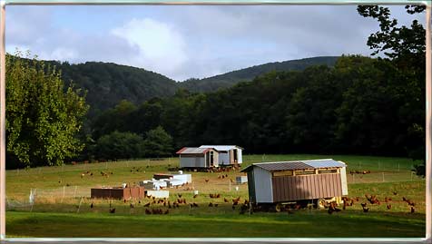 Working H Farm 2012